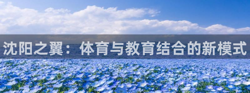 678体育