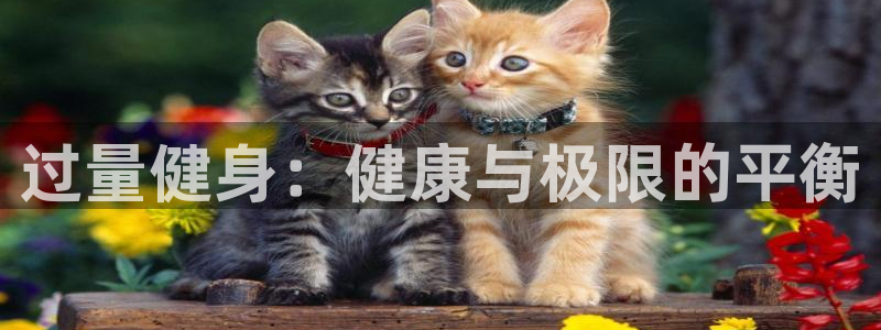 678体育官网下载