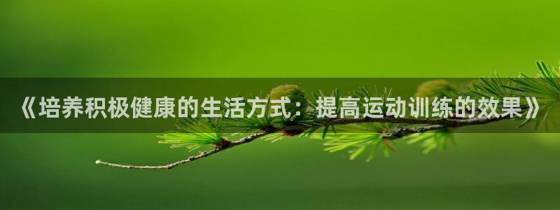 678体育官网