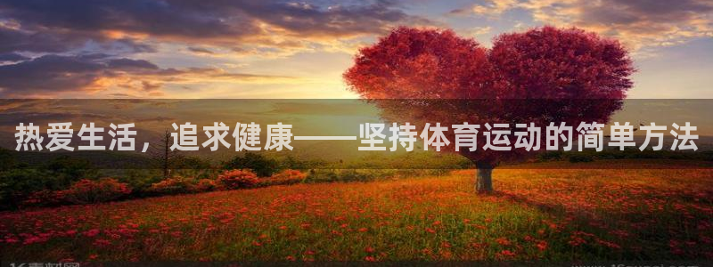 678体育