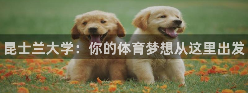 678体育官网
