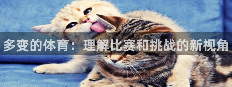 678体育官网