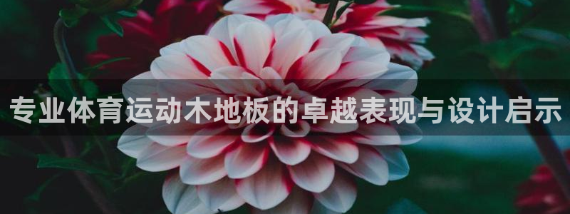 678体育官网地址：专业体育运动木地板的卓越表现与设计启示