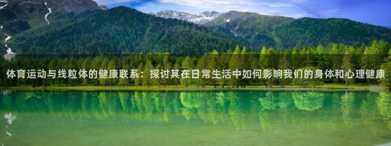 678体育官网地址：体育运动与线粒体的健康联系：探讨其在日常生活中如何影响我们的身体和心理健康