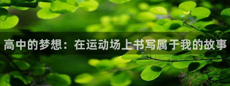 678体育app：高中的梦想：在运动场上书写属于我的故事